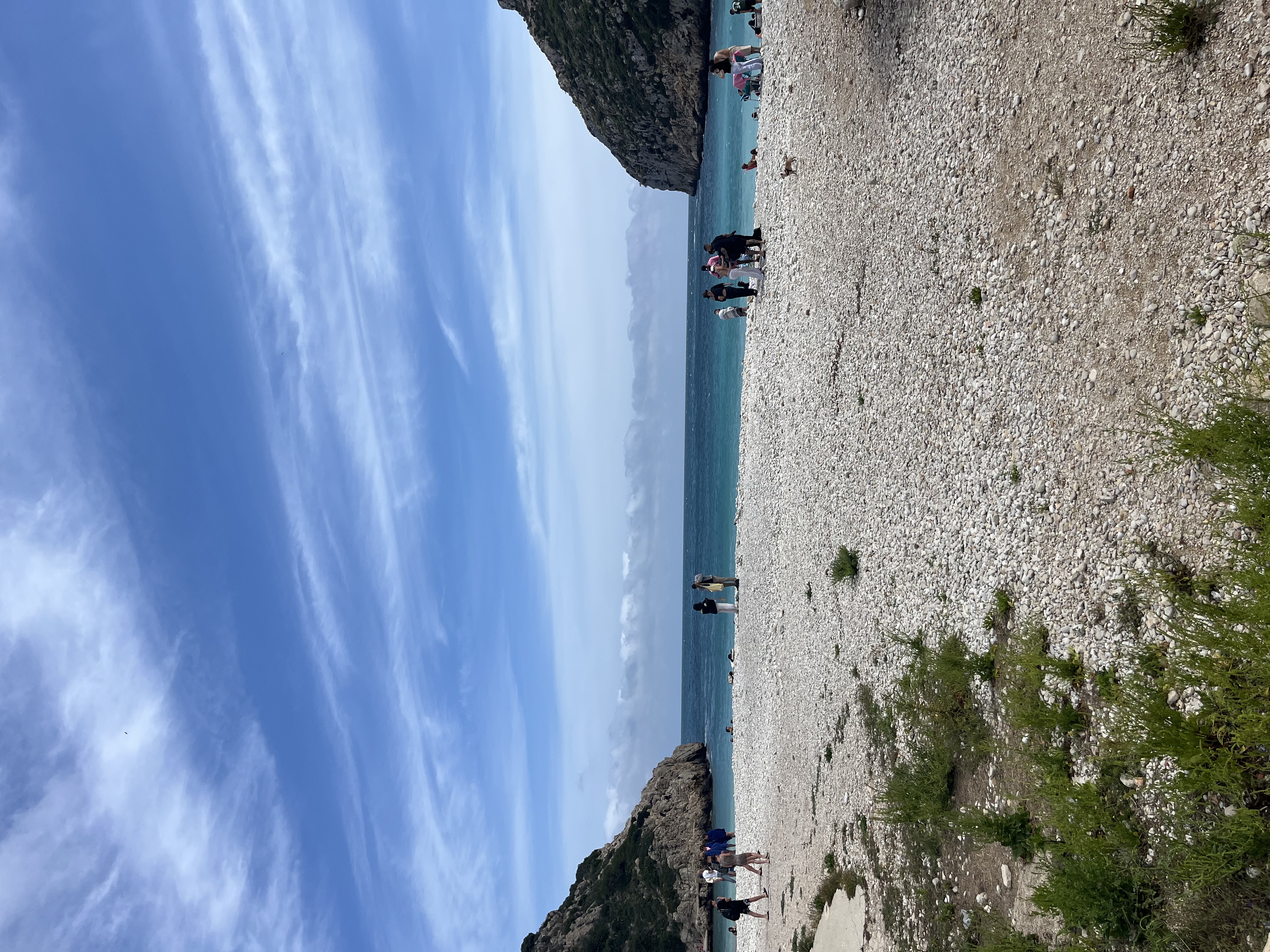 IMG_6724.jpeg