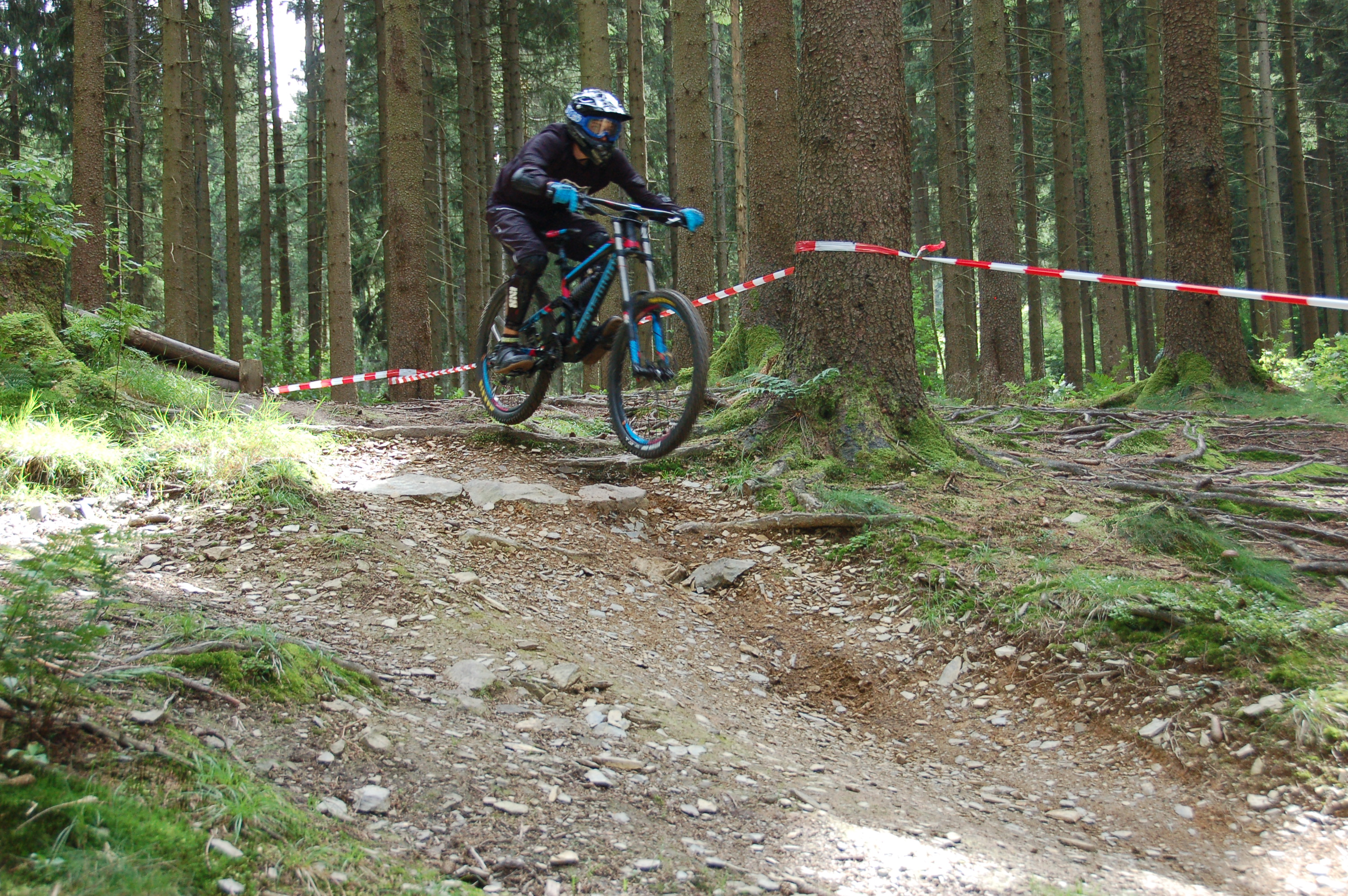 DSC_5536.JPG